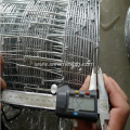 PVC Coated Welded Wire Mesh Fence